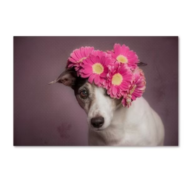 Heike Willers 'Mrs. Spring' Canvas Art, 22x32, Trademark Fine Art, Mfr#: 1X00593-C2232GG